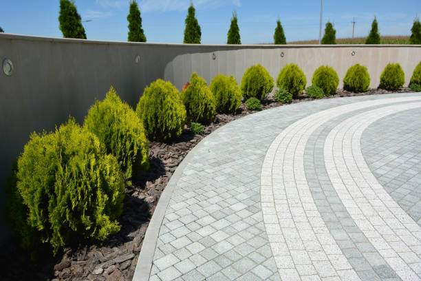 Best Cobblestone Driveway Paving in Potosi, TX